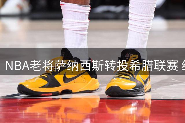 NBA老将萨纳西斯转投希腊联赛 结束七年雄鹿生涯